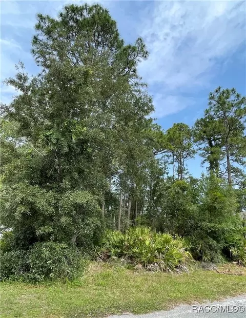 12 Mangrove Ct S, Homosassa, FL 34446