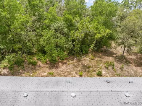 4724 N Forest Lake Dr, Hernando, FL 34442 photo 29