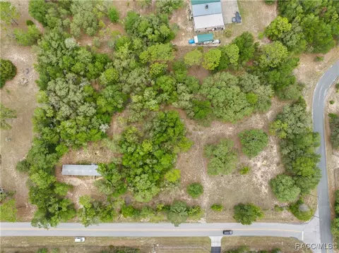 4724 N Forest Lake Dr, Hernando, FL 34442 photo 34