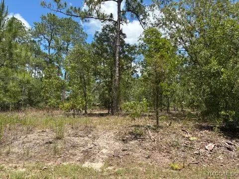 tbd SW Southview Ct, Dunnellon, FL 34431