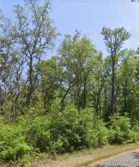 tbd Locust Radl, Ocala, FL 34472