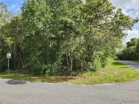 1031 E La Salle St, Hernando, FL 34442 photo 2