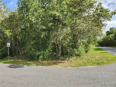 1031 E La Salle St, Hernando, FL 34442 photo 4