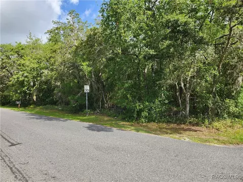 1031 E La Salle St, Hernando, FL 34442 photo 3