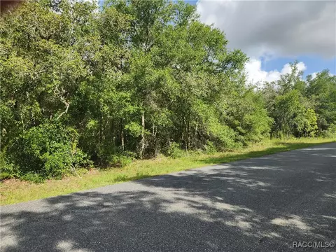 1031 E La Salle St, Hernando, FL 34442