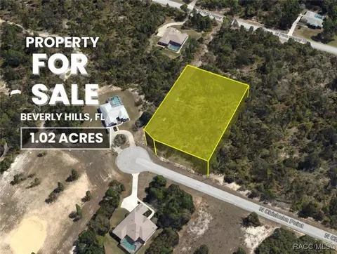 4189 N Chisholm Pt, Beverly Hills, FL 34465