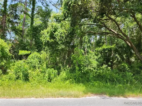 000 Olsen Rd, Spring Hill, FL 34606