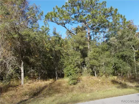 359 W Liberty St, Hernando, FL 34442 photo 2