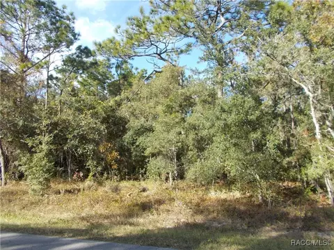359 W Liberty St, Hernando, FL 34442