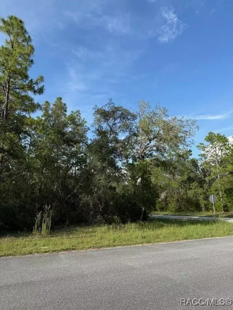 9584 N Gaillardia Way, Citrus Springs, FL 34434