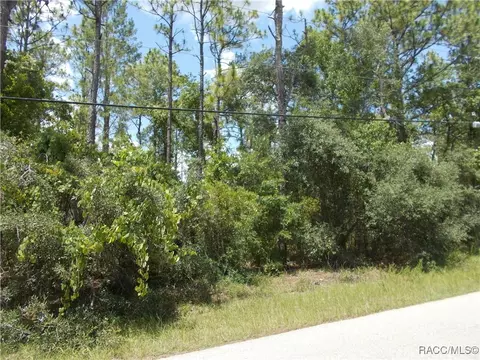 1725 W Union St, Hernando, FL 34442