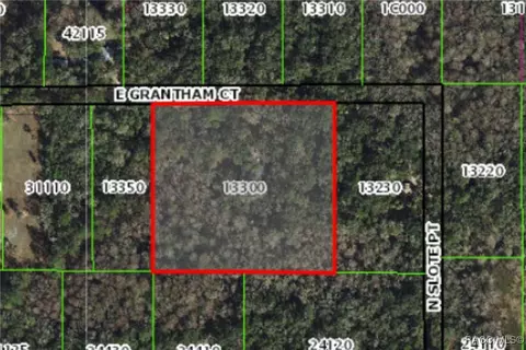 Other - 6464 E Grantham Ct, Hernando, FL 34442 photo 5 of 5