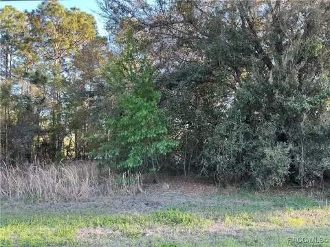 2892 W Eunice Dr, Citrus Springs, FL 34433