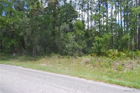 7 Sweetgum Ct N, Homosassa, FL 34446