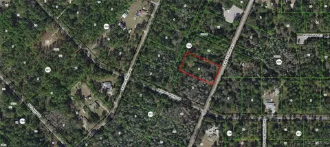 9296 N Black Oak Way, Crystal River, FL 34428