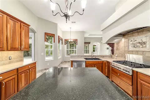 3188 N Chandler Dr, Hernando, FL 34442 photo 28