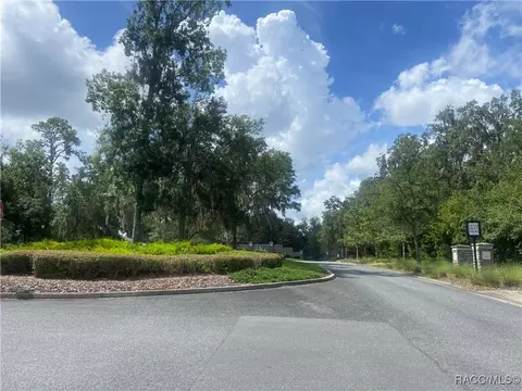 2155 N Heritage Oaks Path, Hernando, FL 34442 photo 5