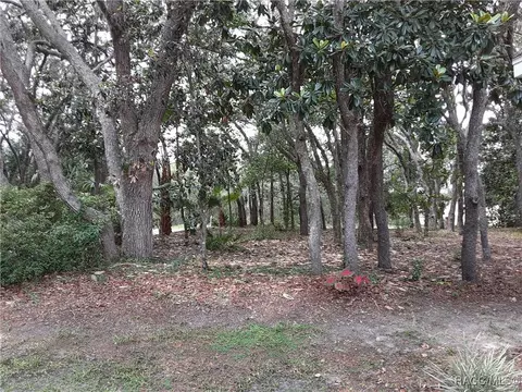 Exterior - 330 W Liberty St, Hernando, FL 34442 photo 4 of 4