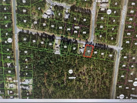 1174 W Galgano St, Dunnellon, FL 34434