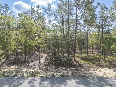 5 Fringetree Ct, Homosassa, FL 34446