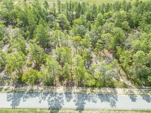 7 Fringetree Ct, Homosassa, FL 34446