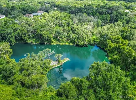 View/Area - 3153 N Chandler Dr, Hernando, FL 34442 photo 3 of 12