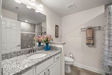 Bath - 3153 N Chandler Dr, Hernando, FL 34442 photo 3 of 4