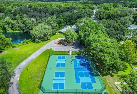 View/Area - 3153 N Chandler Dr, Hernando, FL 34442 photo 2 of 12