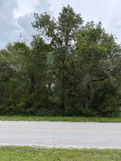 7259 S Withlapopka Dr, Floral City, FL 34436