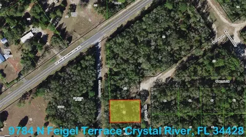 9784 N Feigel Ter, Crystal River, FL 34428