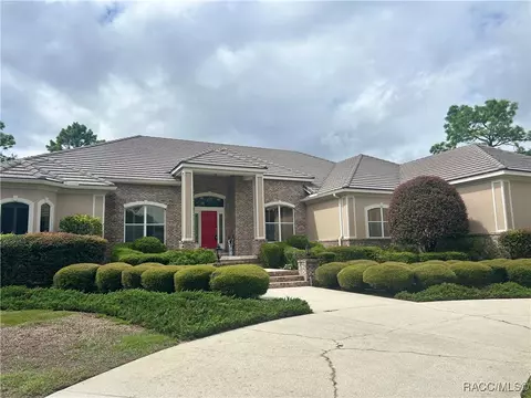 3915 N Grayhawk Loop, Lecanto, FL 34461 photo 54