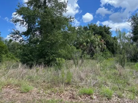 4279 E Texas St, Hernando, FL 34442 photo 3