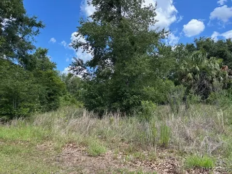 4279 E Texas St, Hernando, FL 34442 photo 2