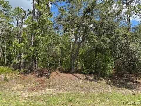 7462 N Sugarberry Dr, Citrus Springs, FL 34434