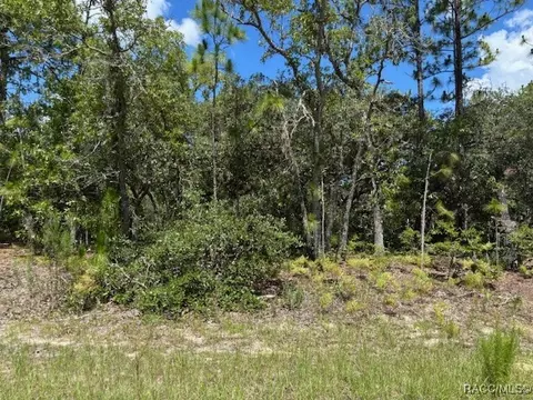 9700 N Lois Ter, Citrus Springs, FL 34433
