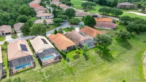 View/Area - 1328 W Diamond Shore Loop, Hernando, FL 34442 photo 8 of 21