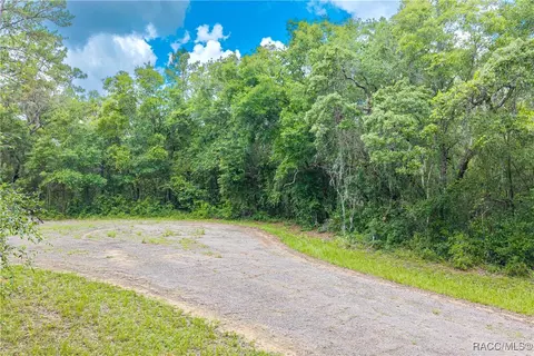 9870 N Sky Pt, Dunnellon, FL 34434