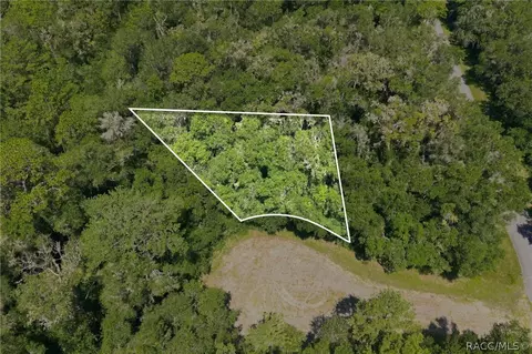 9870 N Sky Pt, Dunnellon, FL 34434
