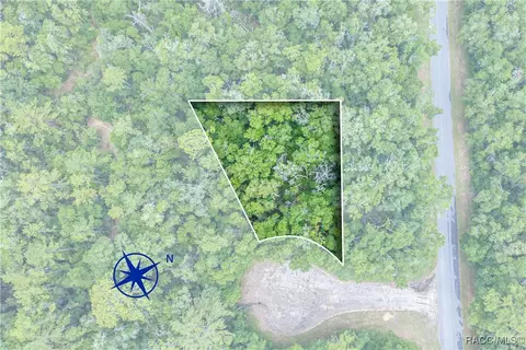 9870 N Sky Pt, Dunnellon, FL 34434