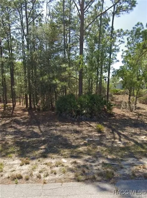10549 N Caldera Ave, Dunnellon, FL 34433
