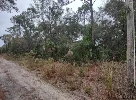 9785 W Watermelon Ln, Crystal River, FL 34428