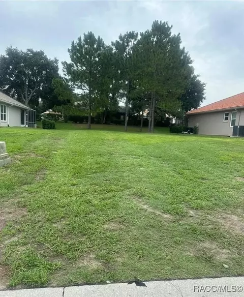 991 W Silver Meadow Loop, Hernando, FL 34442 photo 1