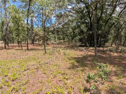 00 NW Ridgewood Rd, Dunnellon, FL 34431