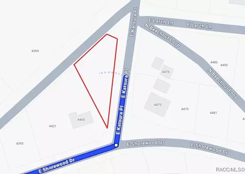 6650 N Beechnut Loop, Hernando, FL 34442 photo 5