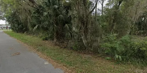 6650 N Beechnut Loop, Hernando, FL 34442 photo 7