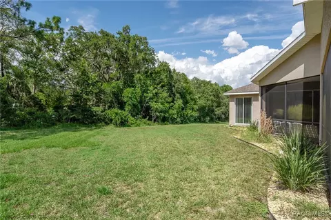 Exterior - 2211 N Heritage Oaks Path, Hernando, FL 34442 photo 8 of 8