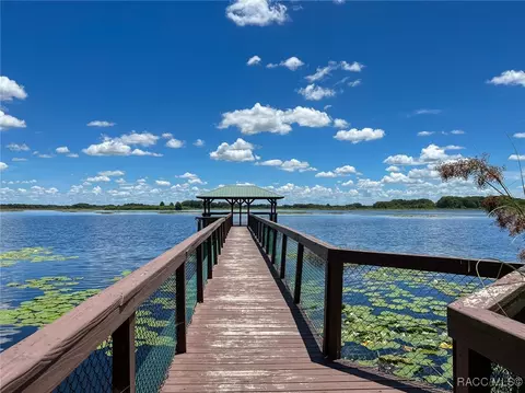 3759 E Teal Cove Ct, Hernando, FL 34442 photo 49