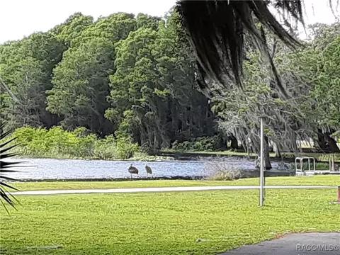 3759 E Teal Cove Ct, Hernando, FL 34442 photo 50