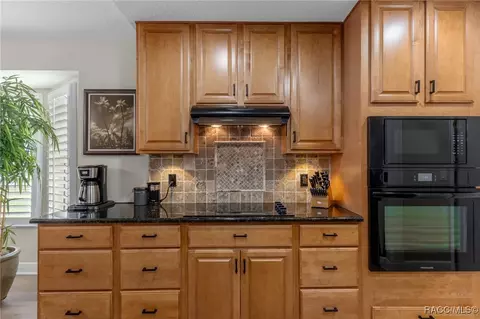 3759 E Teal Cove Ct, Hernando, FL 34442 photo 15