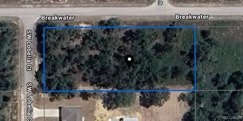 1804 SW Lobelia Ct, Dunnellon, FL 34431